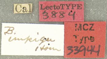 Media type: image;   Entomology 33944 Aspect: labels
